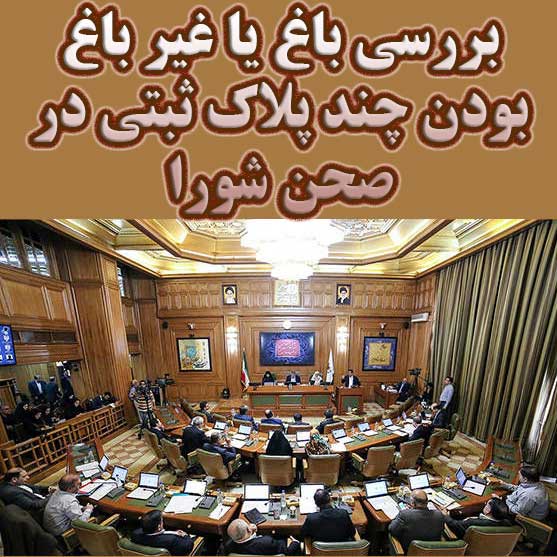 بررسی باغ یا غیر باغ بودن چند پلاک ثبتی در صحن شورا                                                                                                                                                                                                                                                         