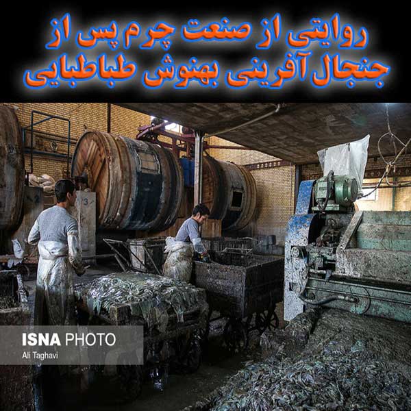 روایتی از صنعت چرم پس از جنجال‌آفرینی بهنوش طباطبایی