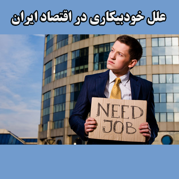 علل خودبیکاری در اقتصاد ایران                                                                                                                                                                                                                                                                               
