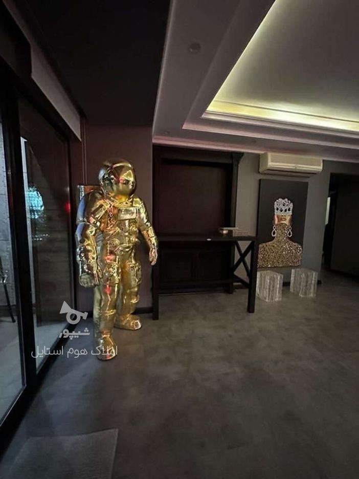 پنت هاوس مبله(دوبلکس+300متر تراس)