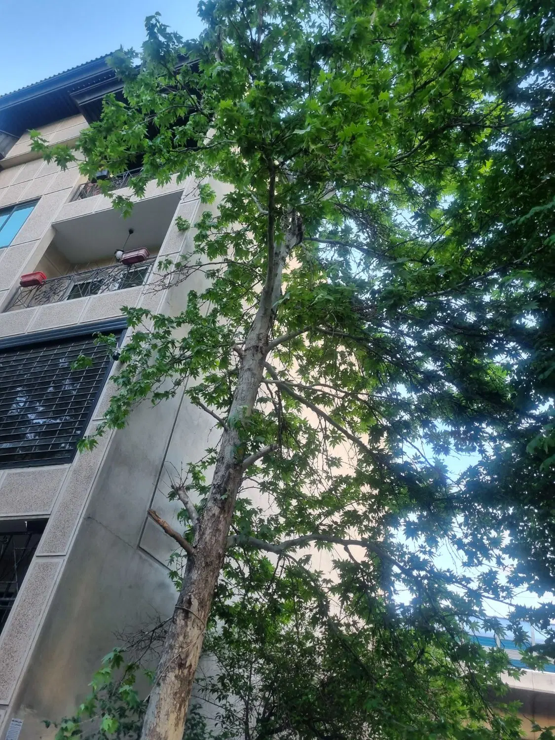 کامرانیه جنوبی. ۱۶۰ متر. ۳ خواب