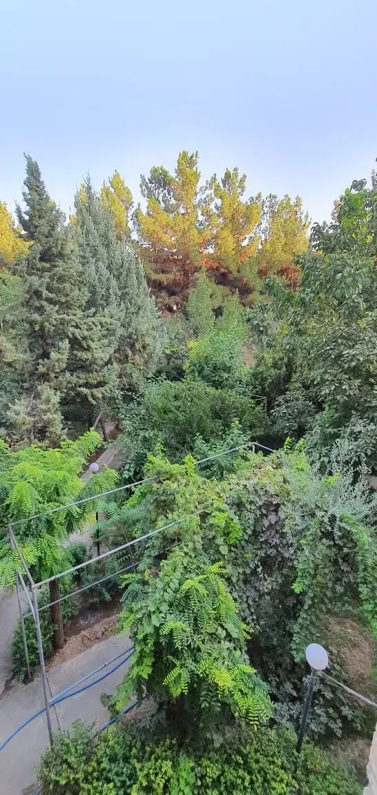 ۱۲۱ متر