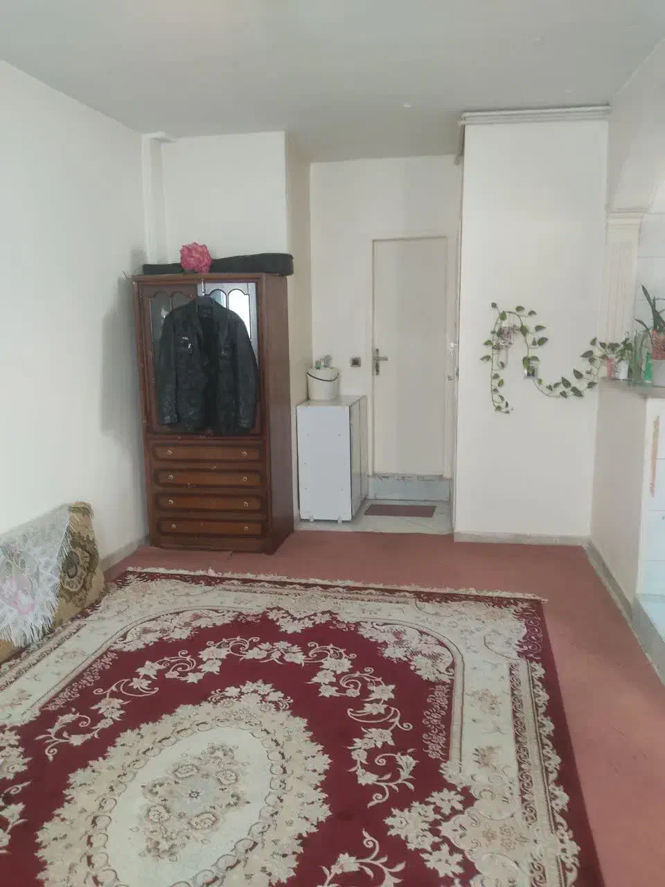 فروش آپارتمان ۴۲ متر یک خواب کلینی