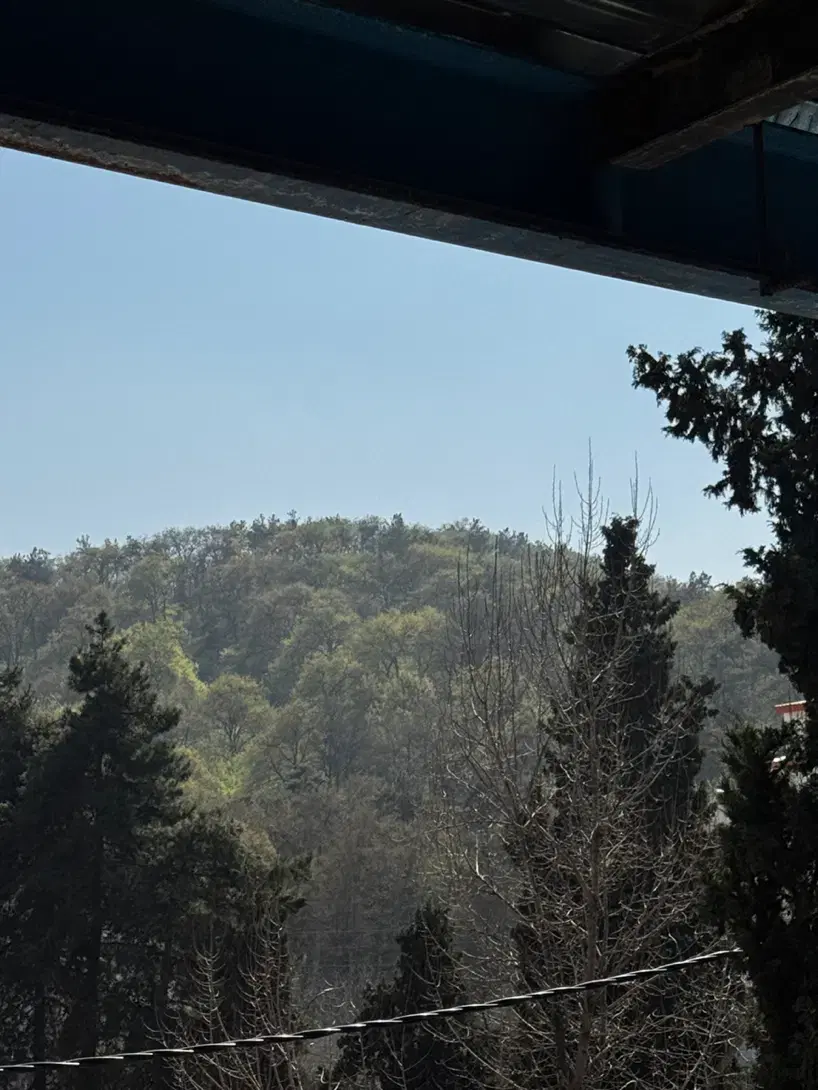 ۳۴۰ متر ناهارخوران_مشاعات هتلینگ_اقساط ۲۰ ماهه