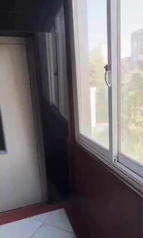 ۲۲۰ متر _بی نقص_بزرگمهر شمالی