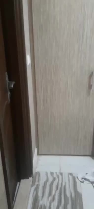 روبه نما یکخواب نوبنیاد یک،مبله