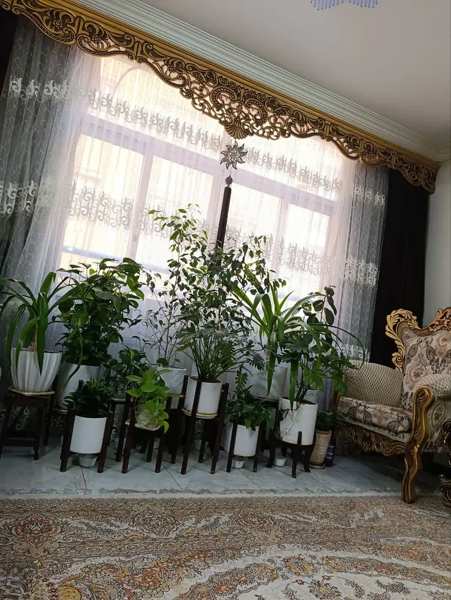 دوواحد ۸۵متری در یک مجتمع خردمند