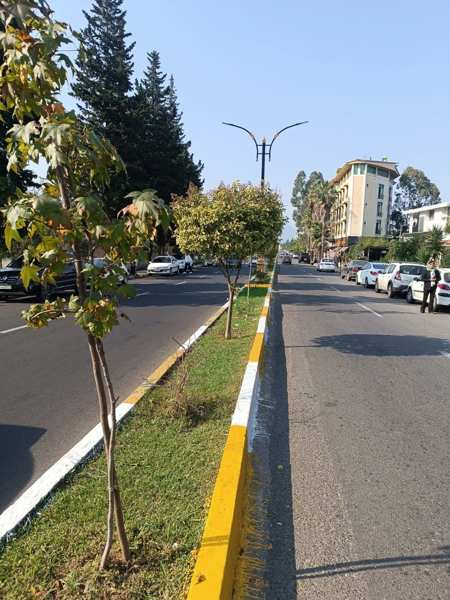 پنت درشهرک 310مترنوساز4خواب طبقه6 فول امکانات