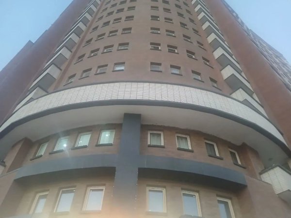 فروش اکازیون اقاقیا کشوری
