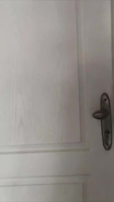 اجاره و فروش آپارتمان