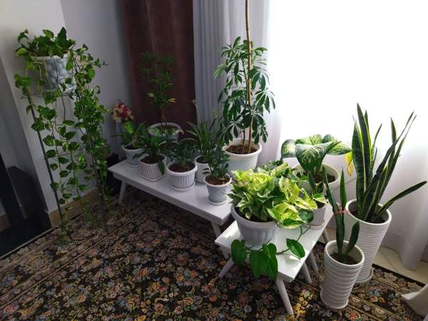 دوخواب ۱۰۵ متر طبقه اول امیر آباد
