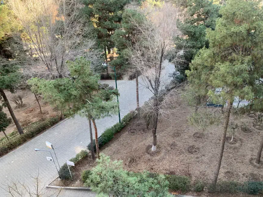 ۳ خواب بالای ورزشگاه
