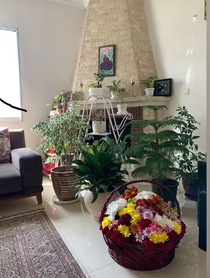 اجاره مسکونی 100 متر 2 خواب ط3