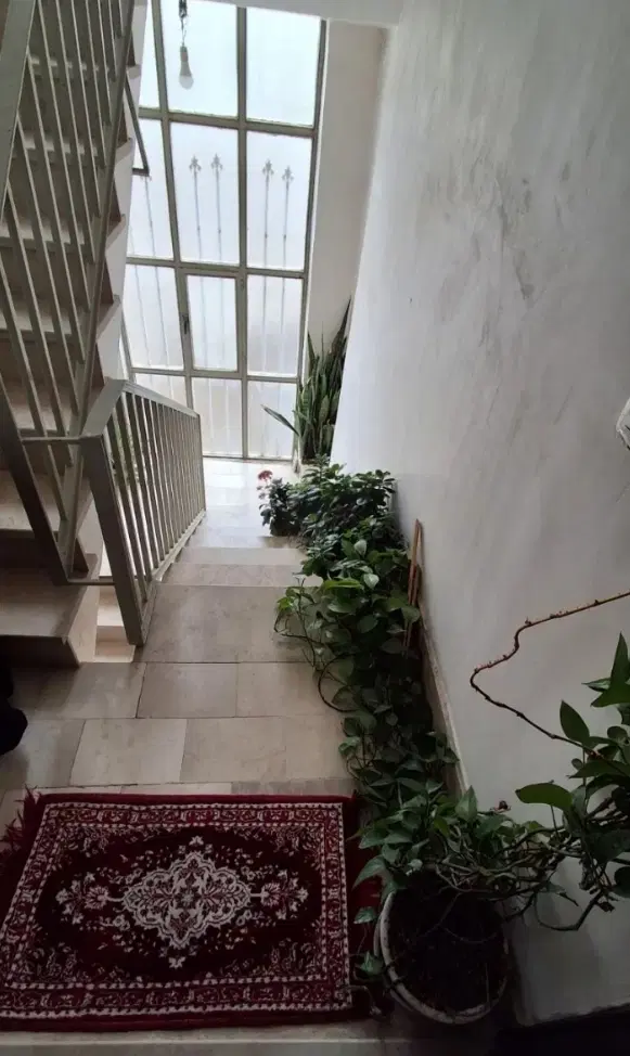 رهن کامل جلیلی