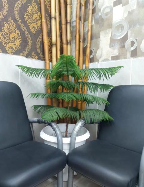 ساریکنار ۱۷۵متری۳خواب۳میلیاردرهن واجاره