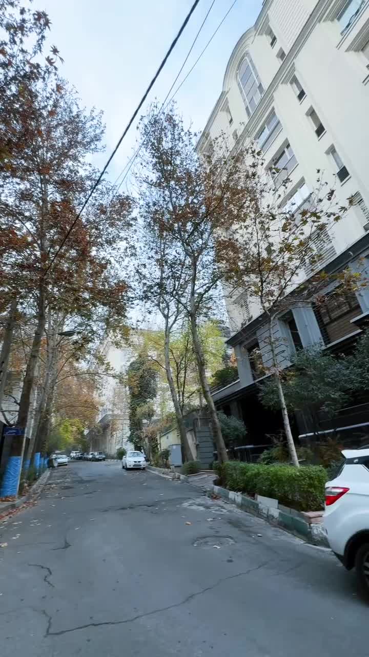 ۲۱۰ متر سه خواب _ مهماندوست _ کامرانیه_ فرعی دنج