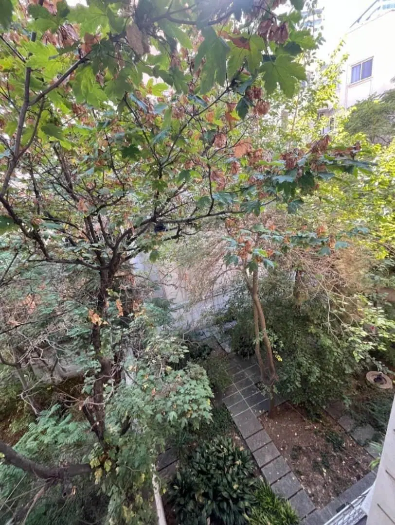 فرشته۱۲۰ متر۲ خواب با۱۰ مترتراس