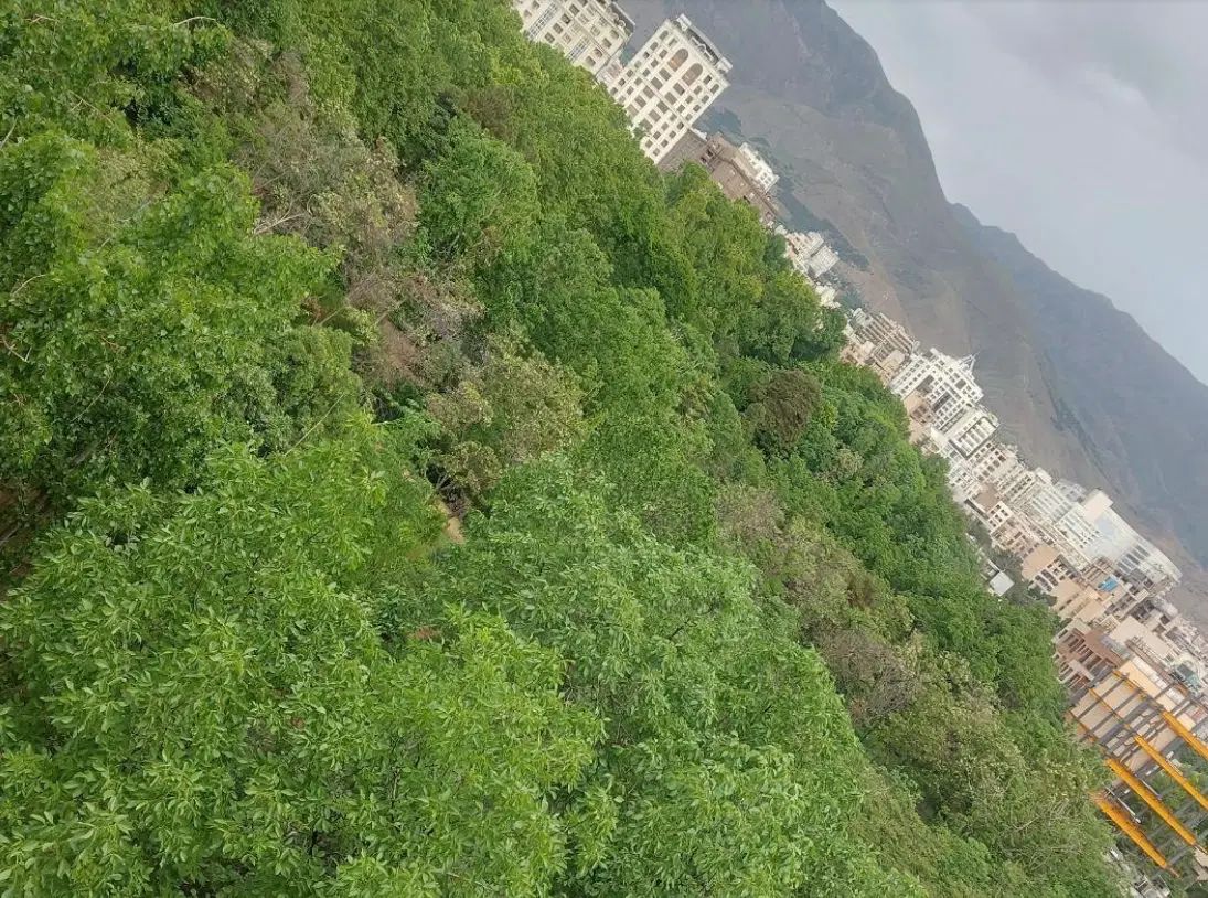 آجودانیه ۱۶۰ متر ۳ خواب با چشم انداز مشجر