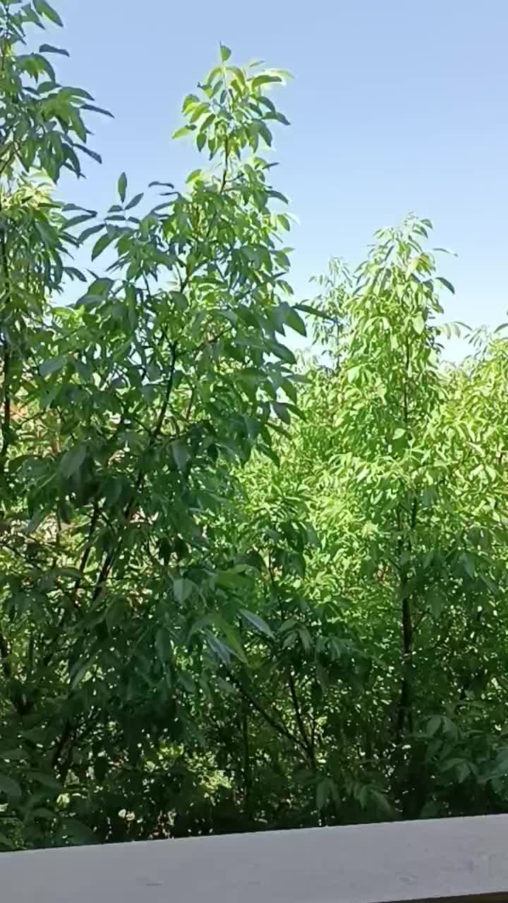 ۱۹۵ متری_کلید نخورده_فول مشاعات_ویو جذاب_مهرشهر