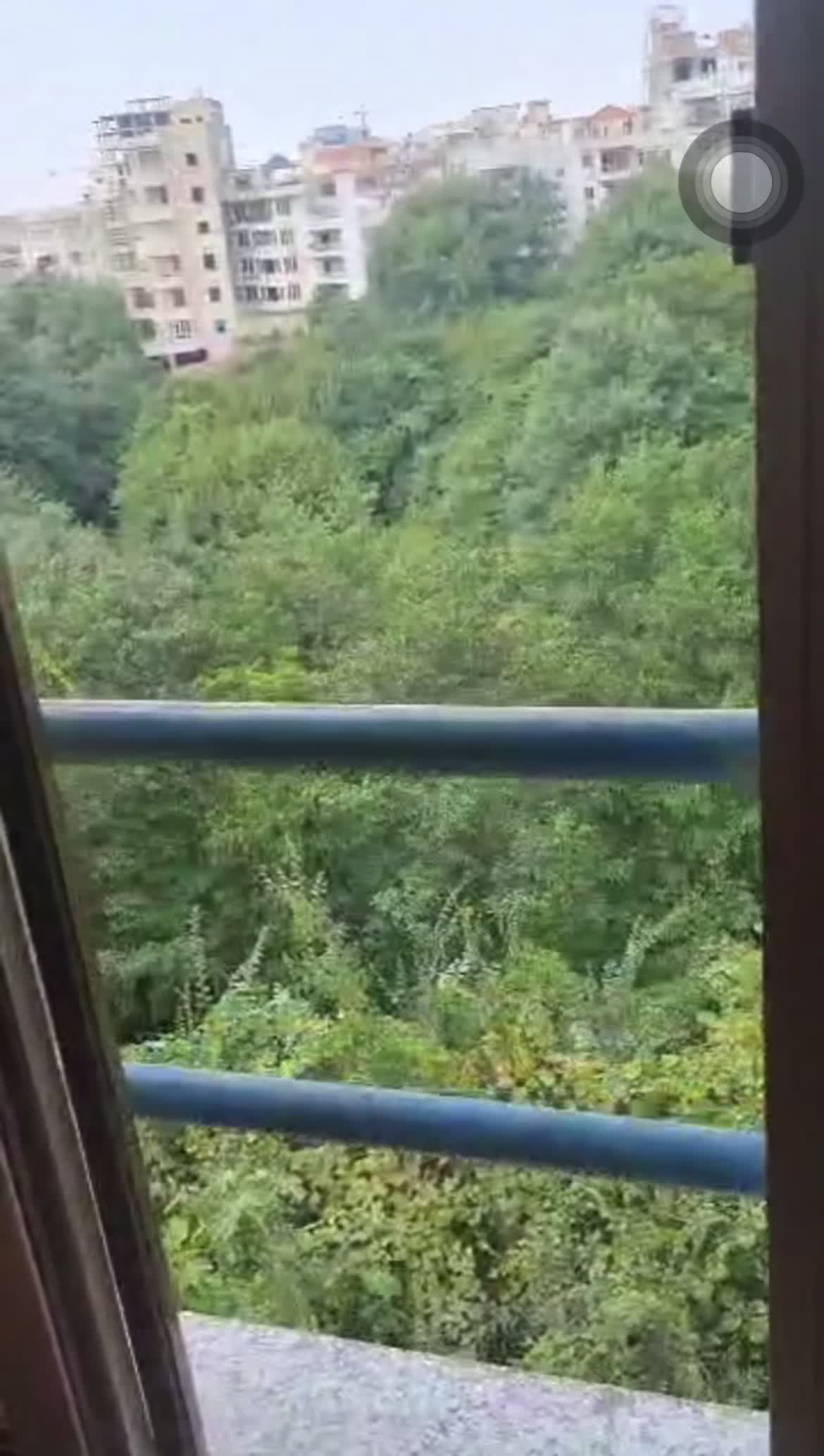 ۱۴۷ متر_ویودار_سروش جنگل