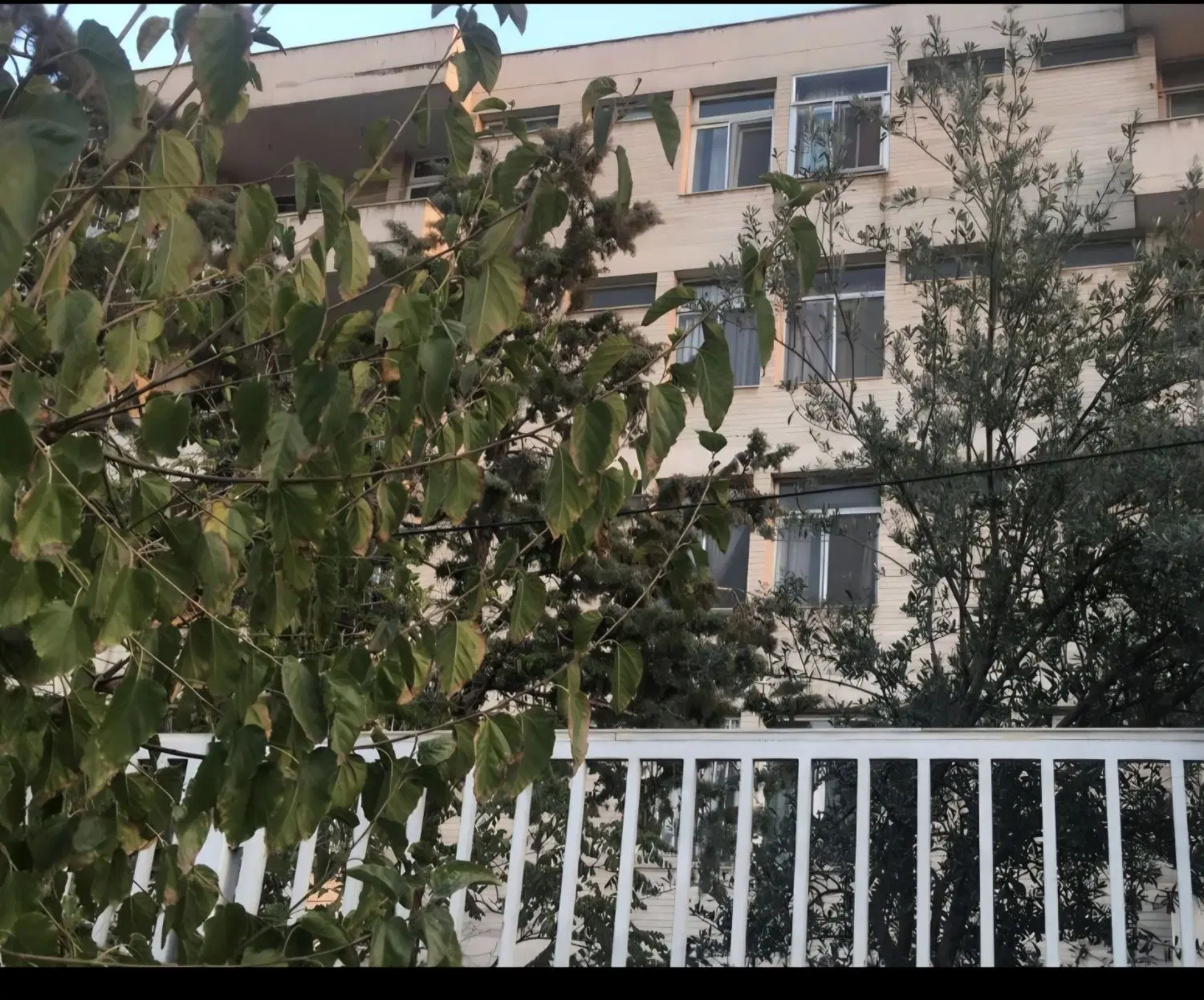 ۱۶۱متراپارتمان امیرابادشمالی