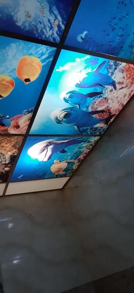 85 متر طبقه 4 مصباح