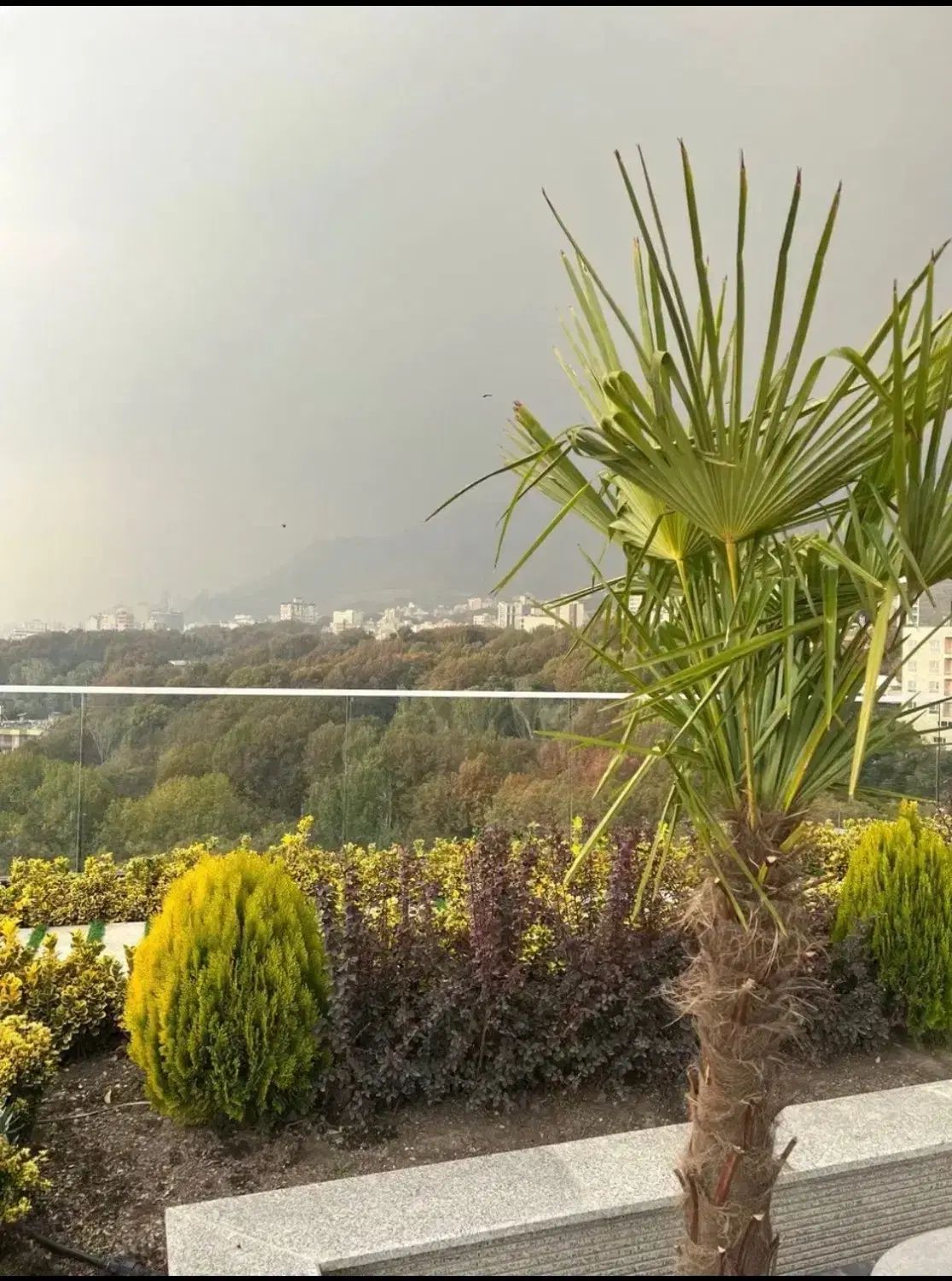 همجوار گلستان شمالی۳۴۰مترچشم انداز ابدی سبز