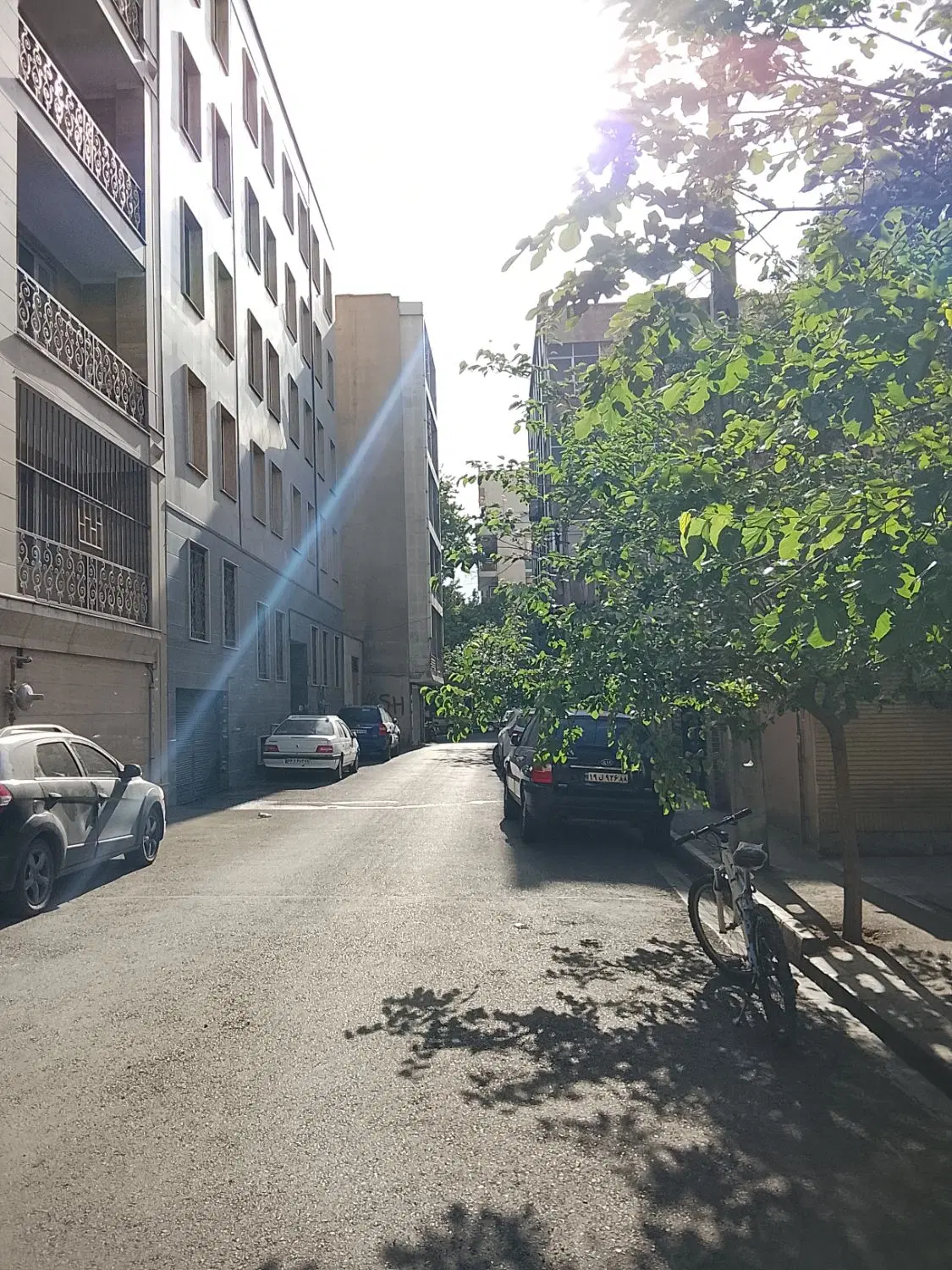 نصرت دکتر قریب