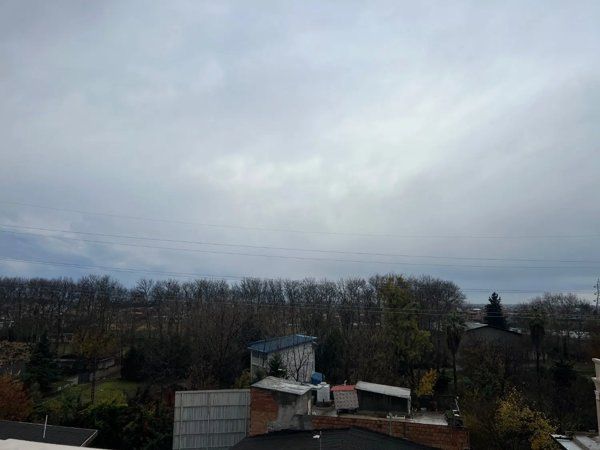 پنت در پاسداران