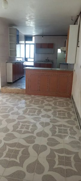 واحد درپاپی خالدار