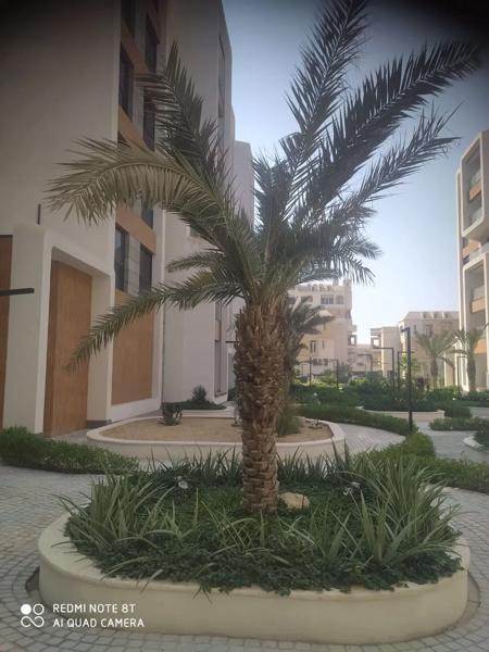 واحد تک خواب دید بی همتا