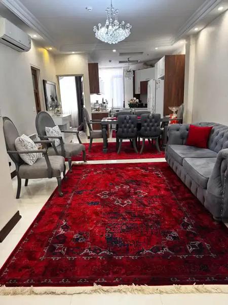 ۴۵ متری خوش نقشه
