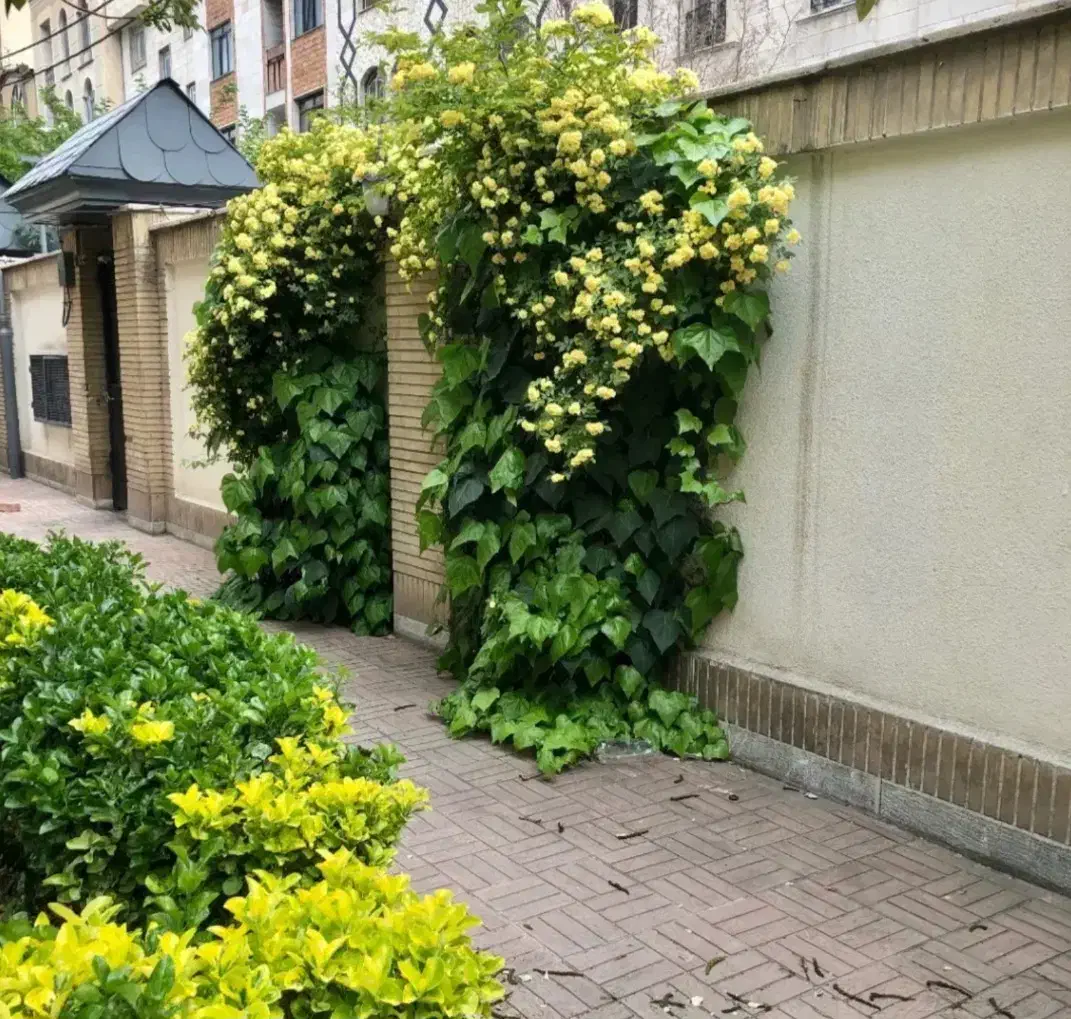تاپ لوکیشن خوارزم شهرک غرب*۱۴۰ متر۲ خواب*
