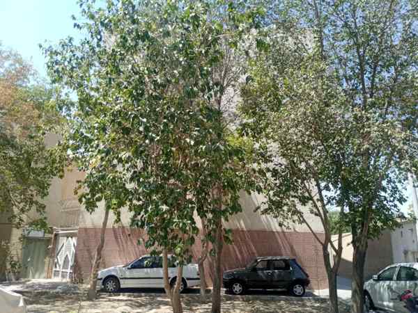 آپارتمان خوش جا چند قدمی پارک  .محله بومی و آرام
