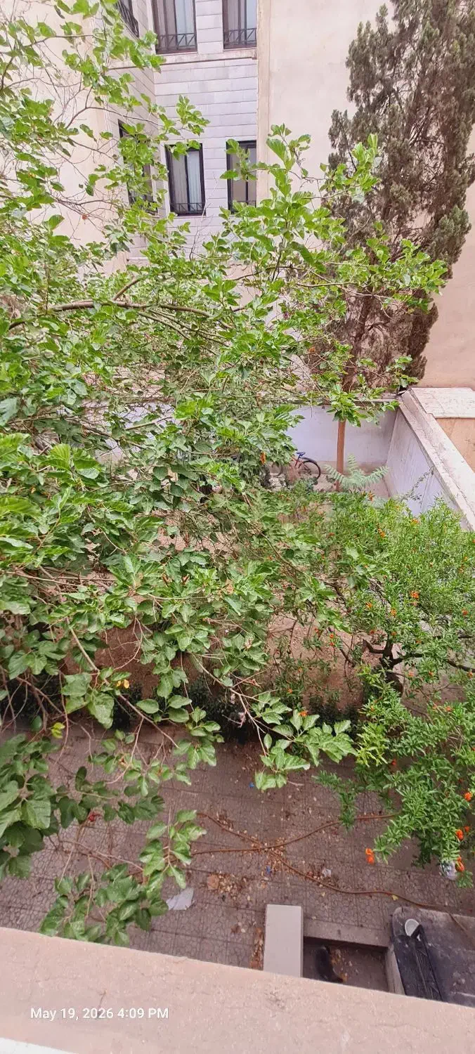 ۱۶۹ متر تک واحدی
