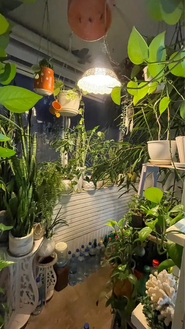 یکخوابه ۵۰ متری کوی بیمه ۴
