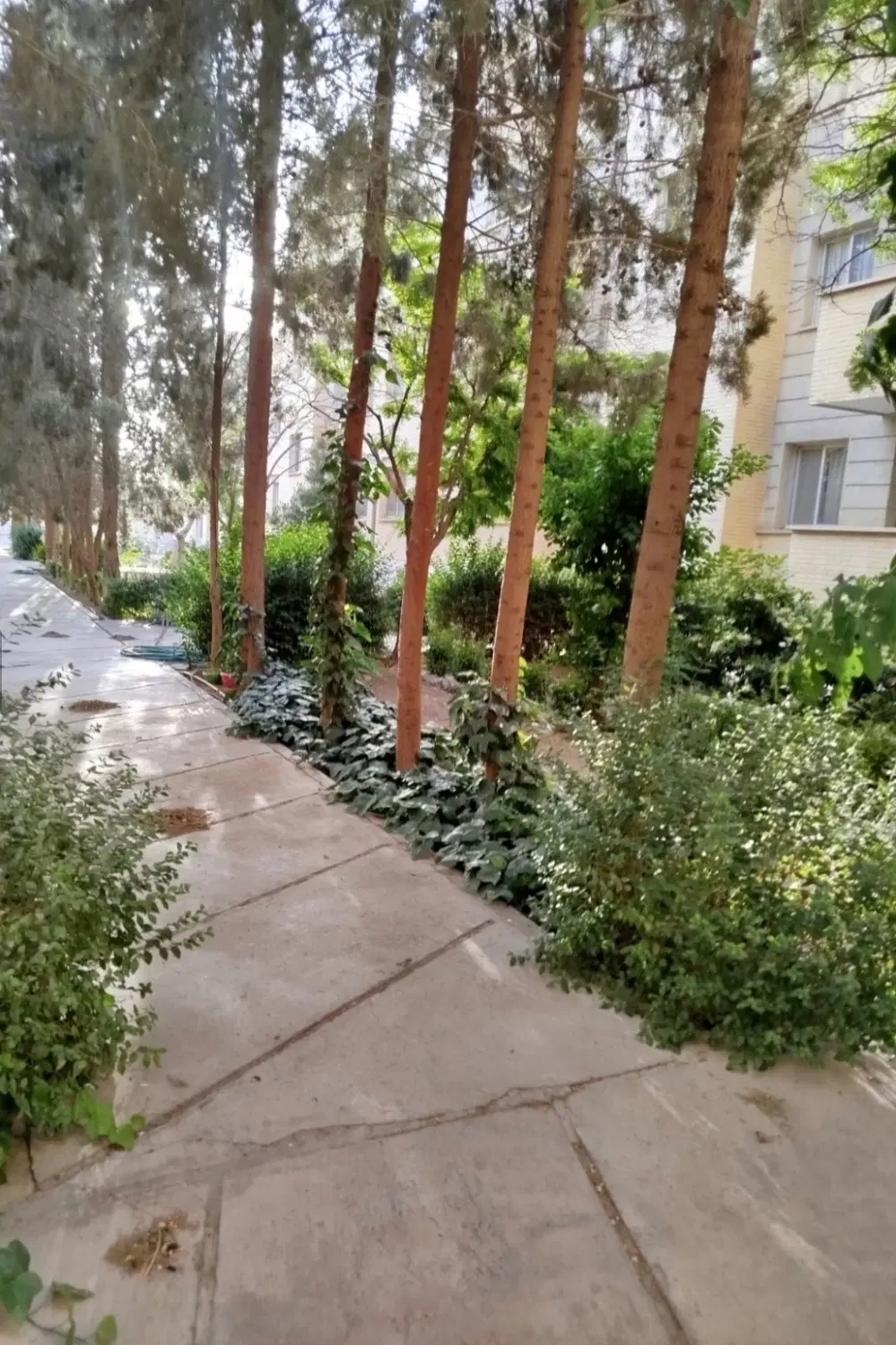 آپارتمان