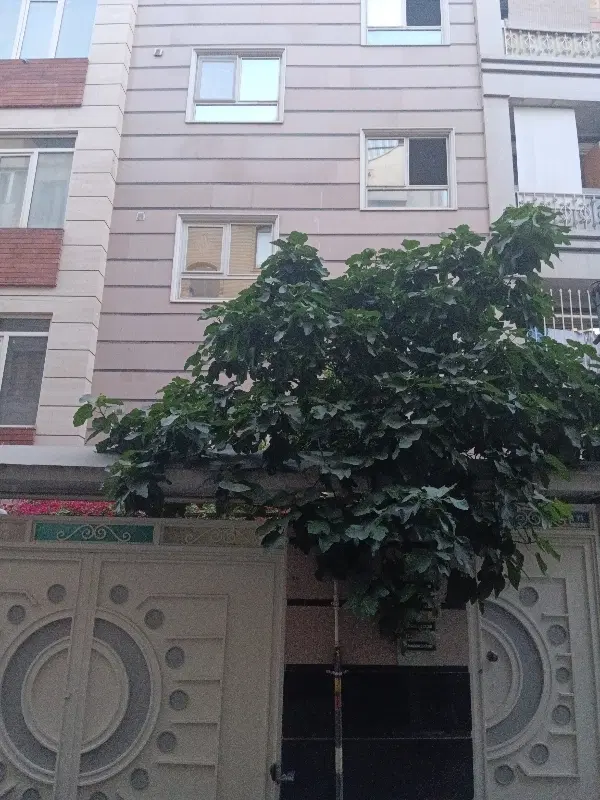 ۶۰ متری_تک واحدی _دوخواب_ وحیدیه_پارکینگ غیر