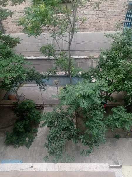 واحد ۱۸۷متری تخلیه باسازی شده