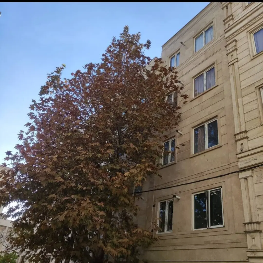 تسلیحات ۴۰ متری اجاره