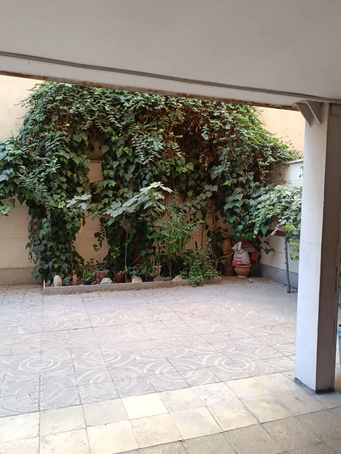 ۶۵ متر تکخواب کوچه خلج