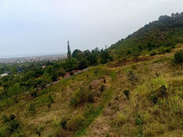 فروش واحد مسکونی اربه کله