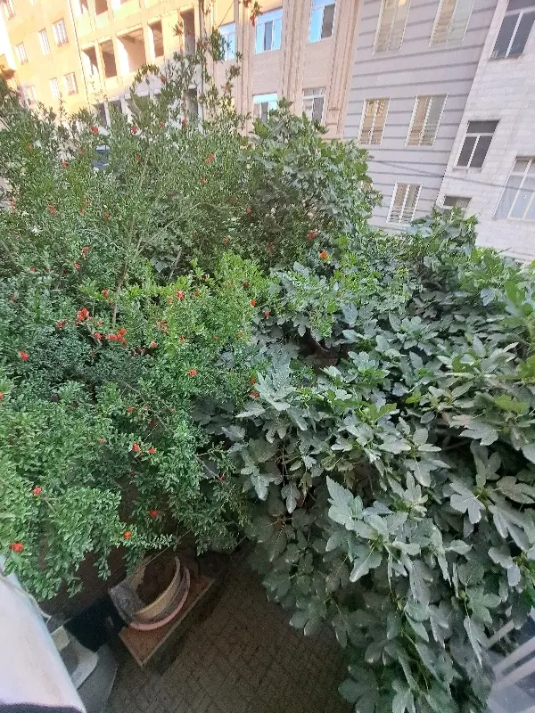 ۸۵متر کلنگی،۲طبقه دربستی بازسازی شده_آماده تخلیه