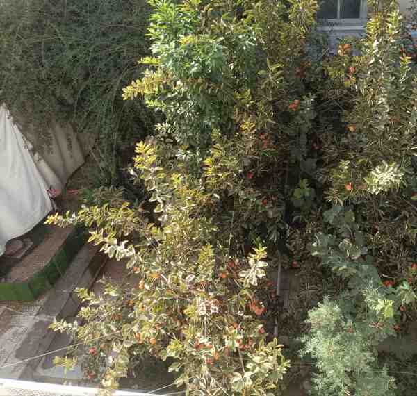 جنوبی ۱۸۰ متر ۳ خواب چهارباغ بالا