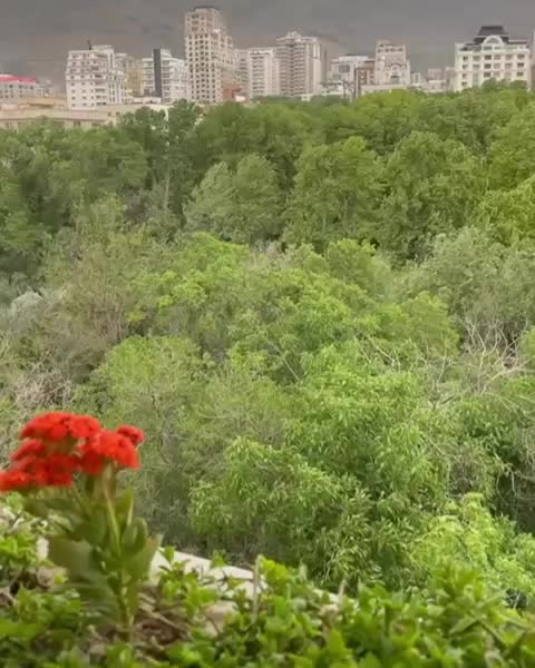 ۲۰۵مترلوکس و‌خاص_چشم اندازباغ_آرامش درقلب زعفرانیه