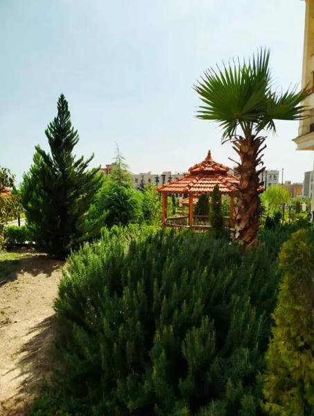 رونیکا پالاس سیمون بولیوار