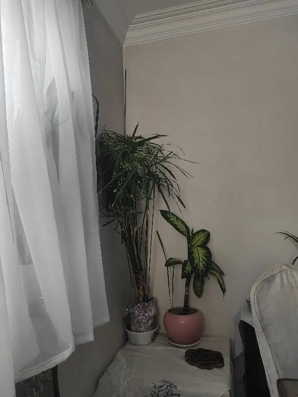 آپارتمان 50متری شهرک آزادی