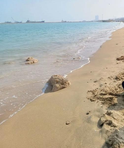اجاره واحد دوخواب بدیع مهر
