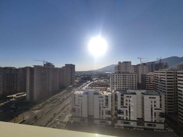 Slide Image
