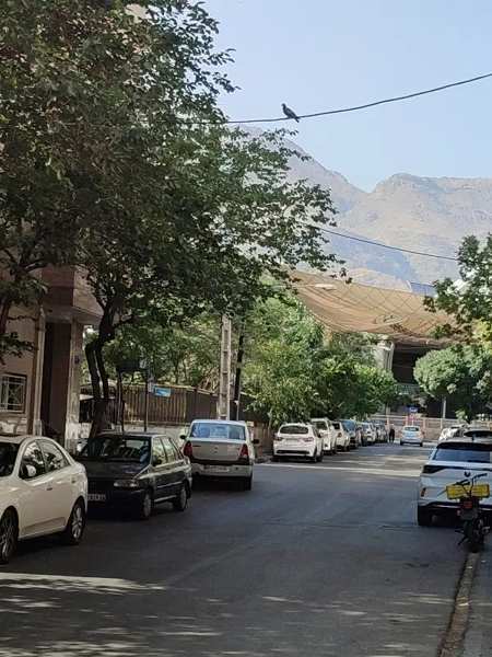 منظریه جنوبی بهترین تک واحدی منطقه